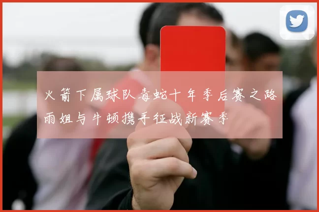 火箭下属球队毒蛇十年季后赛之路雨姐与牛顿携手征战新赛季