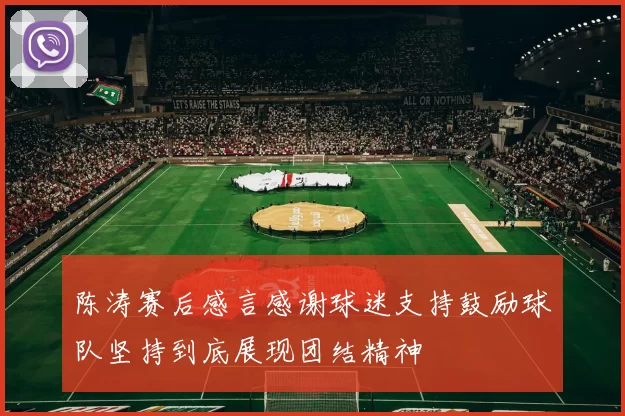 陈涛赛后感言感谢球迷支持鼓励球队坚持到底展现团结精神