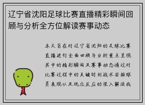 辽宁省沈阳足球比赛直播精彩瞬间回顾与分析全方位解读赛事动态